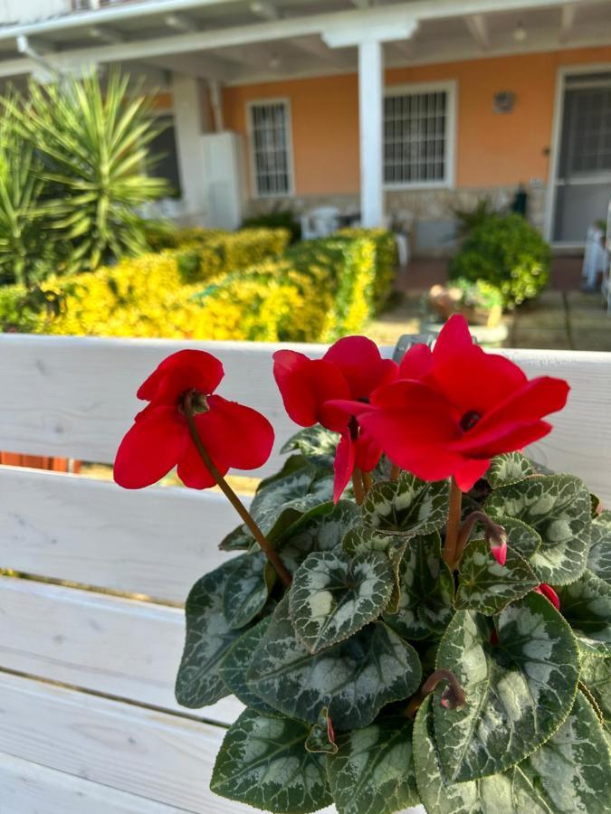 Holiday home Demetra Sperlonga